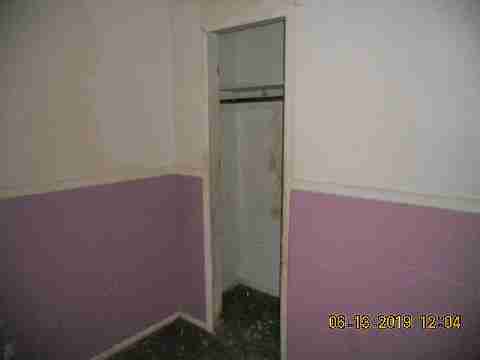 15017 Dolphin (22)_m.jpg